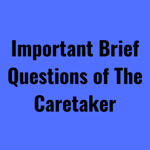 Brief Questions of The Caretaker