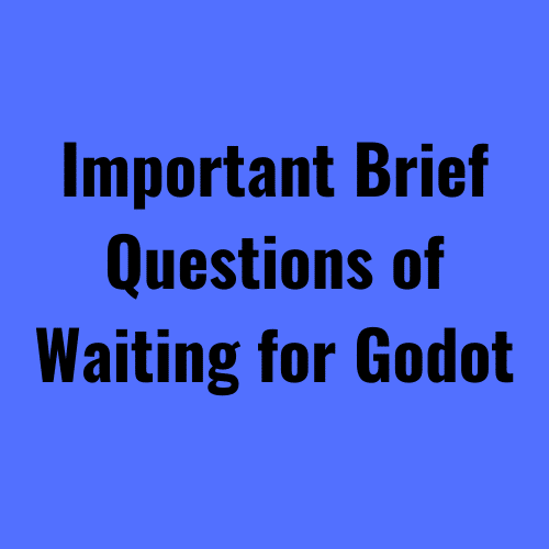Brief Questions of Waiting for Godot