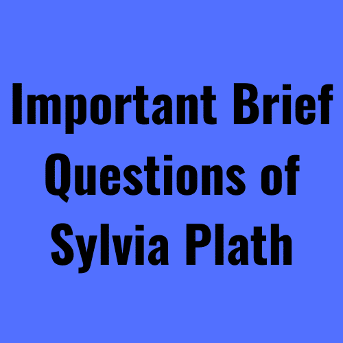 Important Brief Questions of Sylvia Plath