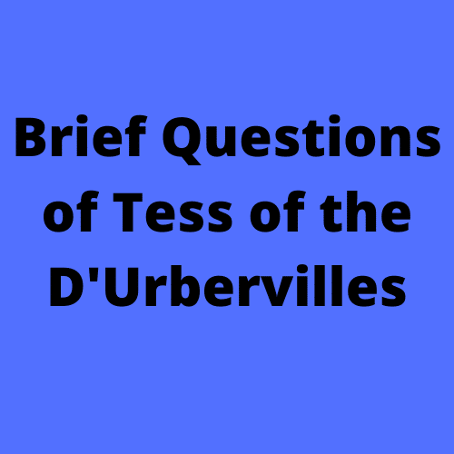 brief Questions of Tess of the D'Urbervilles