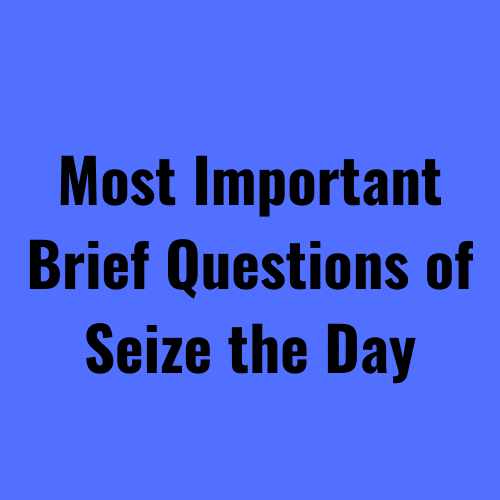 Brief Questions of Seize the Day