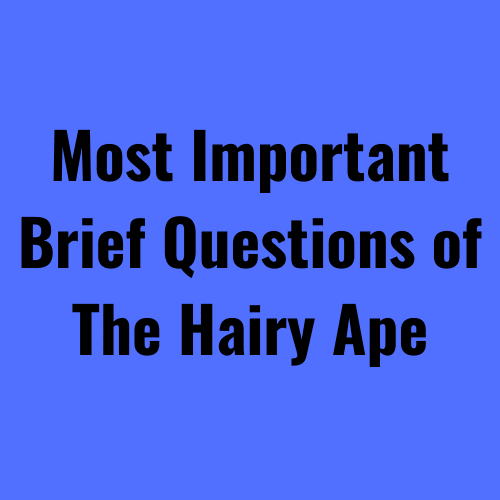 Brief Questions of The Hairy Ape