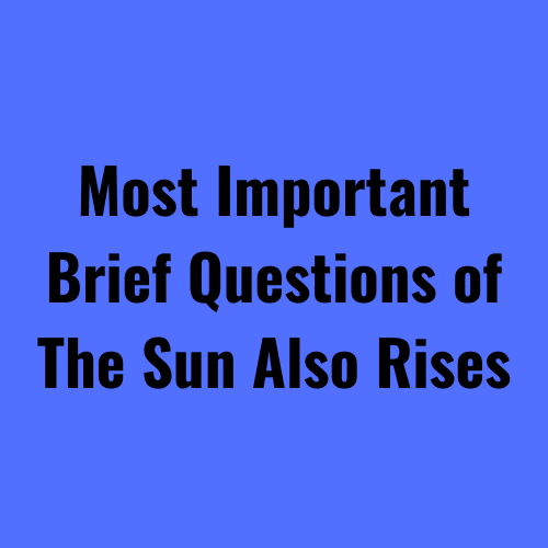 Brief Questions of The Sun Also Rises