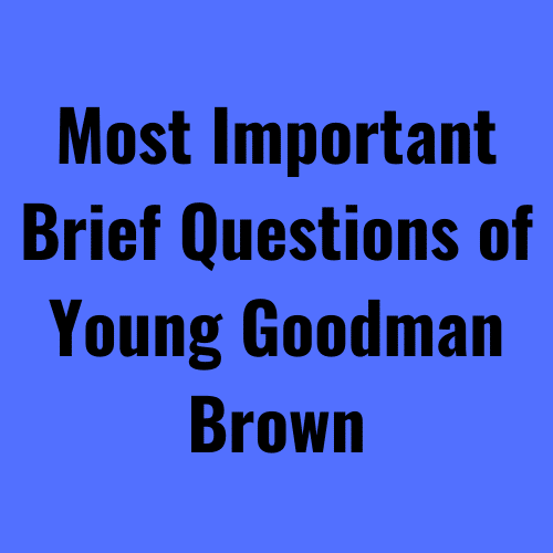 Brief Questions of Young Goodman Brown