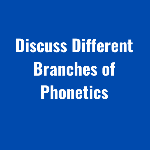 Discuss Different Branches of Phonetics