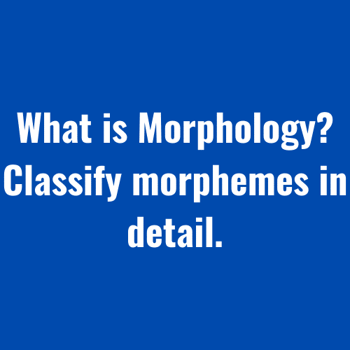 What is Morphology